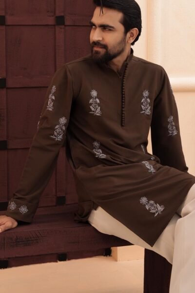 Allover Zardosi Punjabi-Dark brown