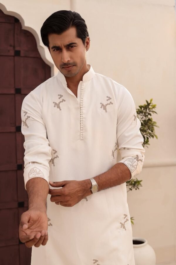 All over embroidery with sleeve embroidery-White