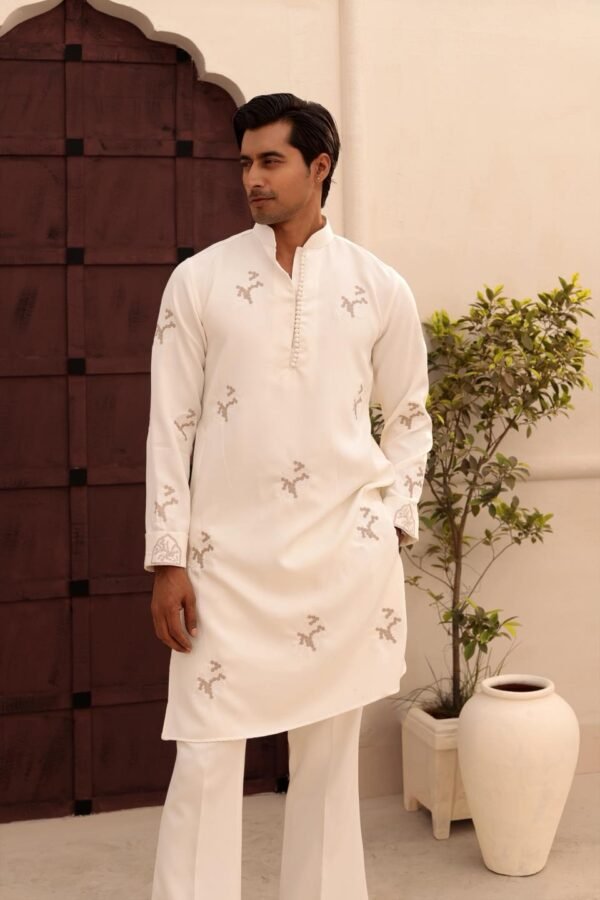 All over embroidery with sleeve embroidery-White