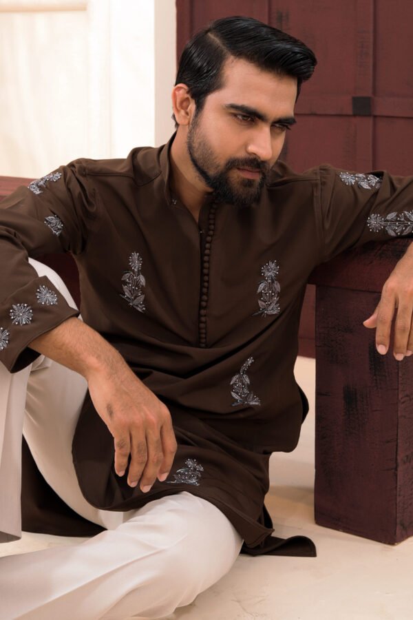 Allover Zardosi Punjabi-Dark brown