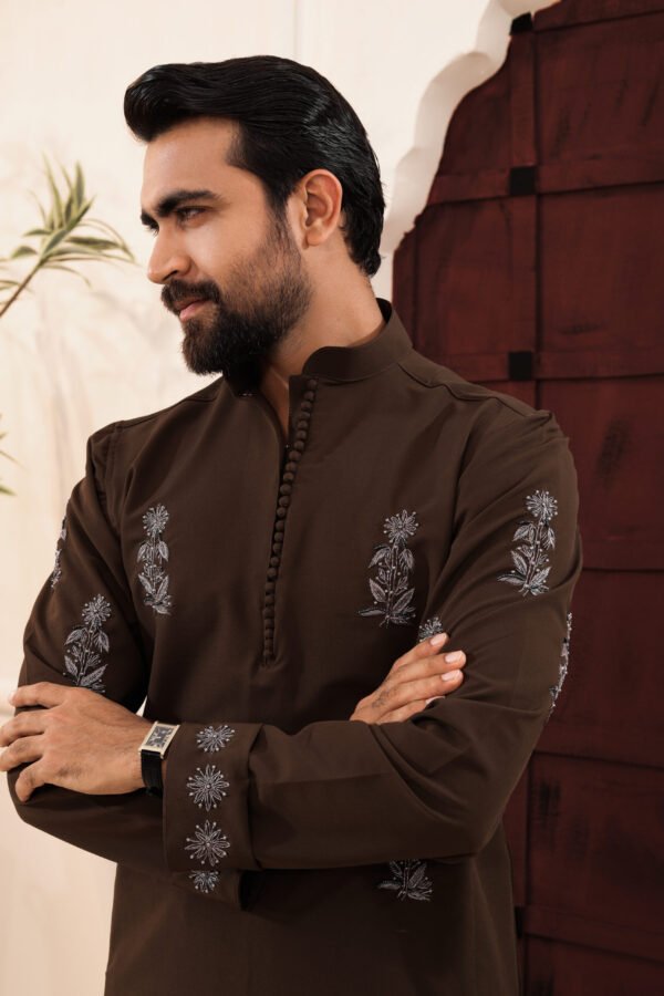 Allover Zardosi Punjabi-Dark brown