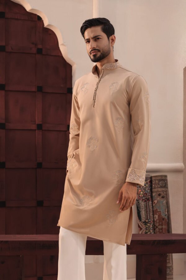 Allover Zardosi Punjabi-Beige