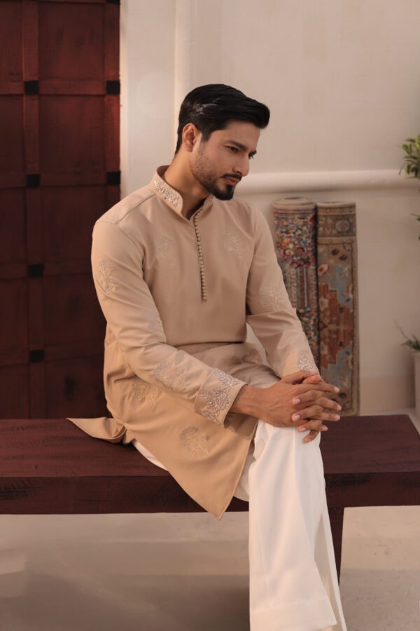 Allover Zardosi Punjabi-Beige