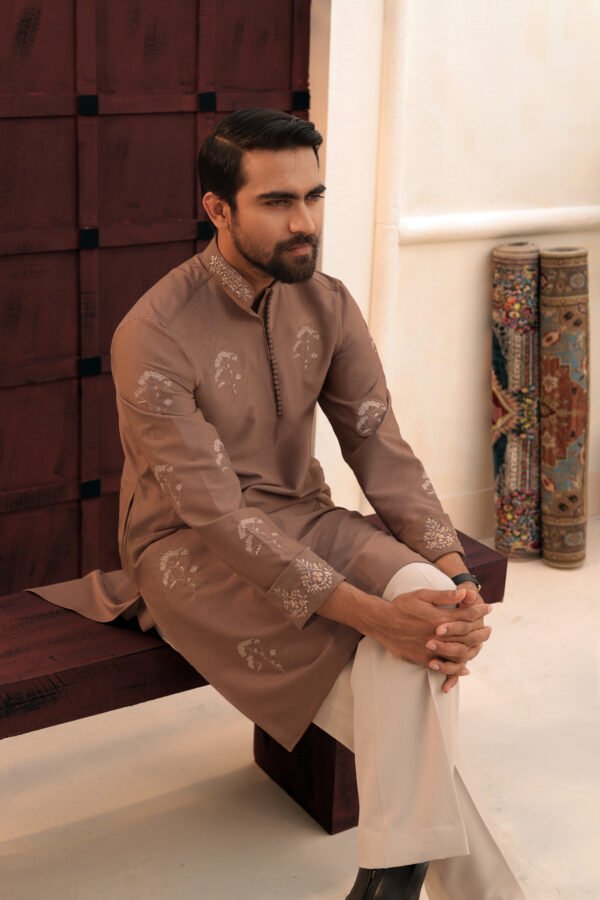 Allover Zardosi Punjabi-Caramel Brown